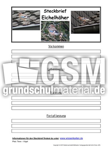 Steckbrief-Eichelhäher.pdf